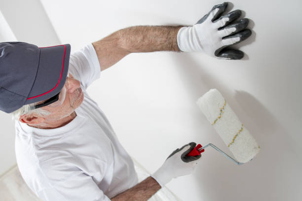 Best Attic Mold Removal  in Gardnerville, NV