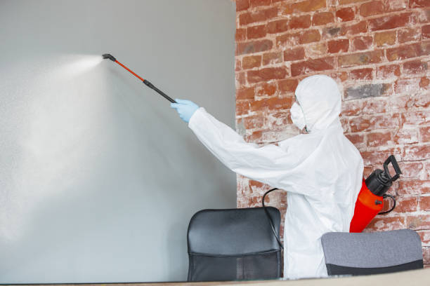 Best Dehumidification Services  in Gardnerville, NV