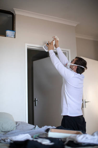 Best Environmental Consulting for Mold Prevention  in Gardnerville, NV
