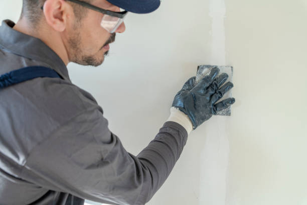 Best Basement Mold Removal  in Gardnerville, NV
