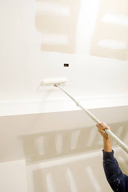 Best Mold Damage Restoration  in Gardnerville, NV