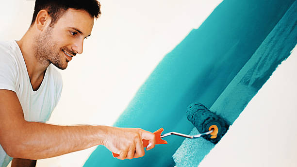 Trusted Gardnerville, NV Mold Removal Experts