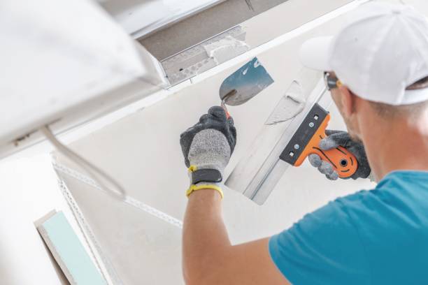 Best Biohazard Mold Removal  in Gardnerville, NV